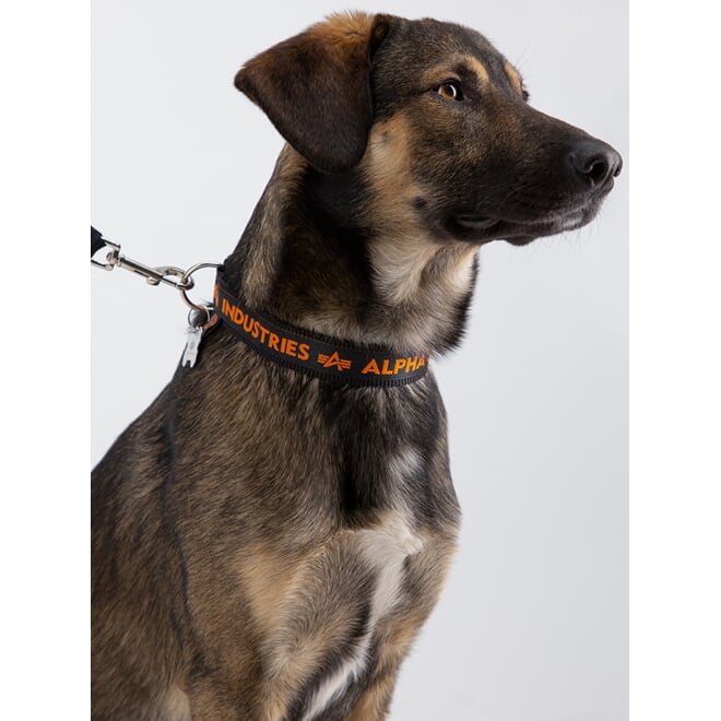 Levně Alpha Industries Obojek AI Dog-Tag Collar černá | oranžová M