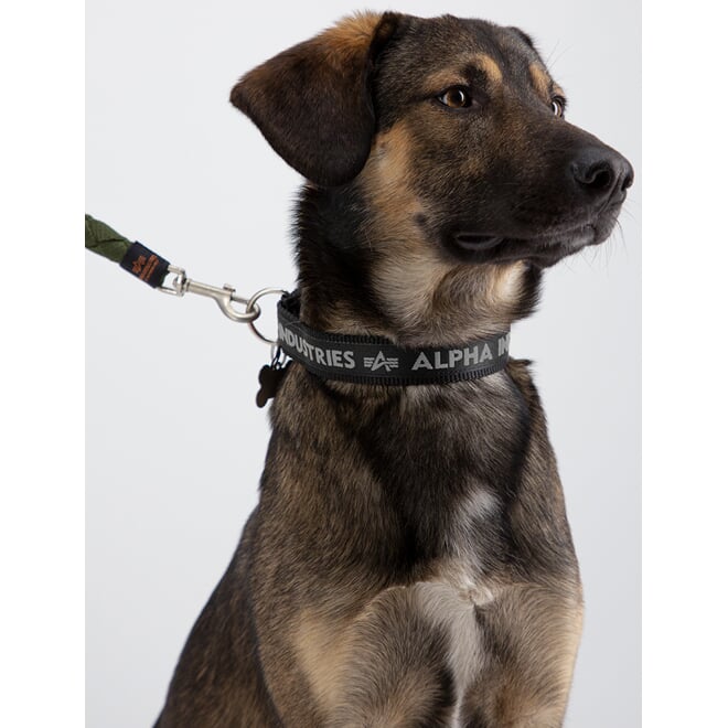 Obojek ALPHA AI Dog-Tag Collar